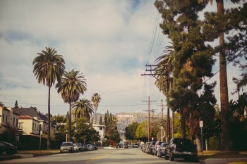 Free Photo of cars, vehicle, road
