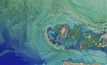 Free Photo of caspian, sea, water