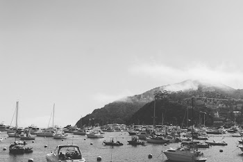 Free Photo of catalina, boats, marina