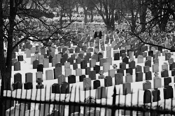 Free Photo of cemetery, graves, tombstones