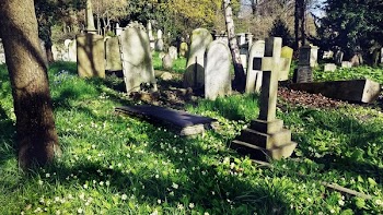 Free Photo of cemetery, graveyard, cross