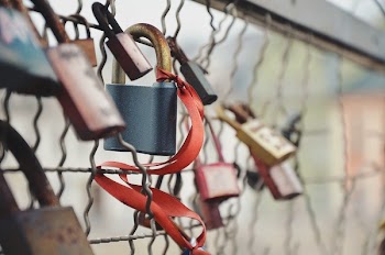 Free Photo of chain link fence, locks, locked