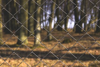 Free Photo of chainlink, fence, park