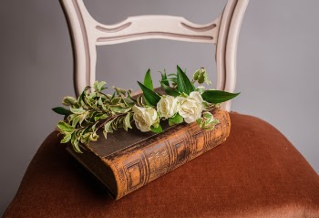 Free Photo of chair, flower, book