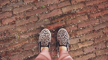 Free Photo of cheetah print, shoes, cobblestone