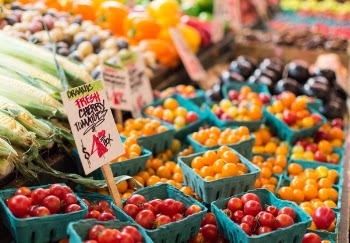 Free Photo of cherry, tomatoes, fruits