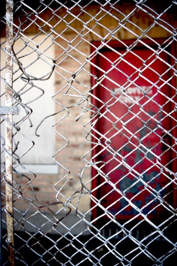 Free Photo of chicken, wire, fence