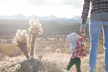 Free Photo of child, holding, hand
