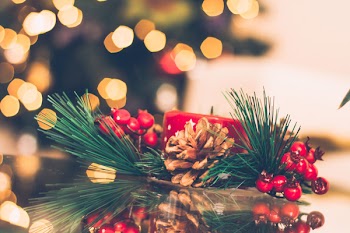 Free Photo of christmas, decor, pinecone