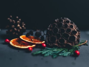 Free Photo of christmas, festivity, fruit