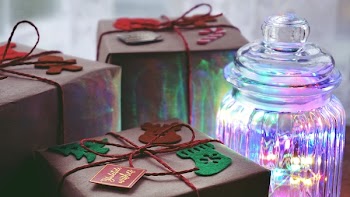 Free Photo of christmas, gifts, wrapped