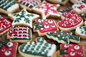 Free Photo of christmas, holiday, yuletide