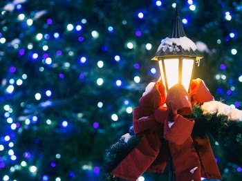 Free Photo of christmas, light, tree