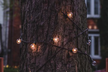 Free Photo of christmas, lights, wire