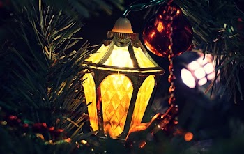Free Photo of christmas, tree, lights
