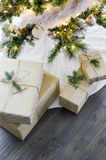 Free Photo of christmas, xmas, autumn