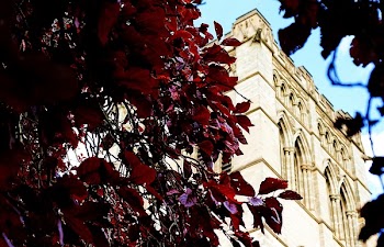 Free Photo of church, cathedral, building