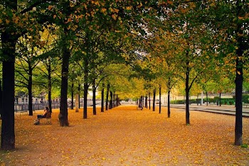 Free Photo of city, park, autumn
