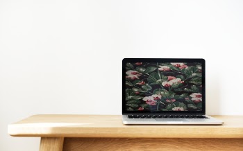 Free Photo of clean, device, digital device