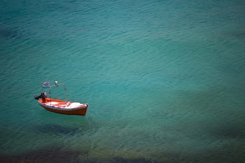 Free Photo of clear, green, water