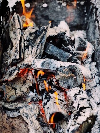 Free Photo of close up, campfire, hot