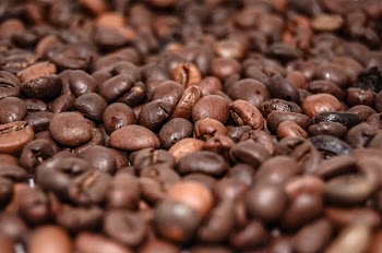Free Photo of coffee, beans, roast