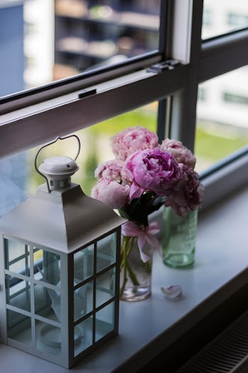 Free Photo of colorful, flower, vase
