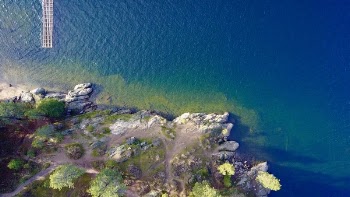 Free Photo of coral reef, coral, ocean