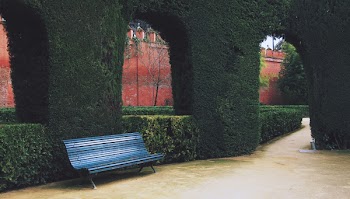 Free Photo of courtyard, bench, shrubs