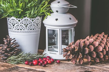 Free Photo of cranberries, christmas, decoration