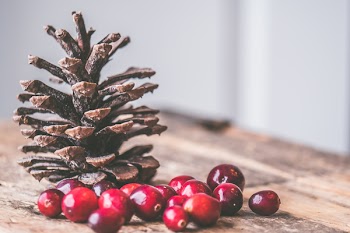 Free Photo of cranberries, pine cone, christmas