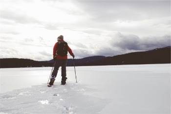 Free Photo of cross country, skiing, winter