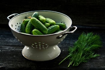 Free Photo of cucumber, plant, green