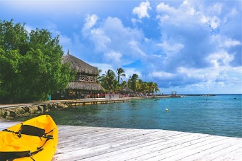 Free Photo of CuraÃ§ao, curacao, sea