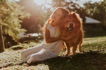 Free Photo of cute, child, dog