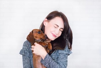 Free Photo of dachshund, dog, woman