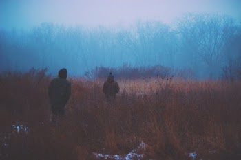 Free Photo of dark, fog, winter
