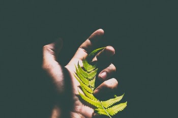 Free Photo of dark, hand, palm