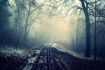 Free Photo of dark, mist, fog