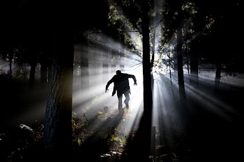 Free Photo of dark, night, light