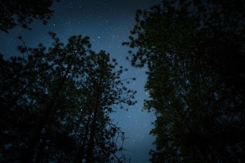 Free Photo of dark, night, stars