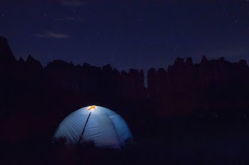 Free Photo of dark, night, trees