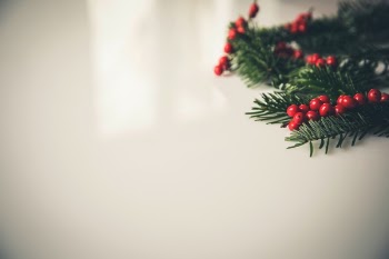 Free Photo of decor, cherries, plant