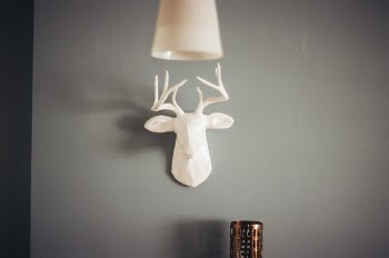 Free Photo of deer, antlers, mount