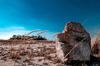 Free Photo of desert, field, landscape