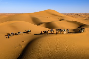Free Photo of desert, landscape, sunny