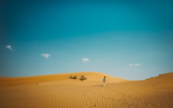 Free Photo of desert, landscape, sunny