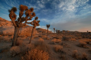 Free Photo of desert, sand, adventure