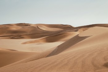 Free Photo of desert, sand, adventure