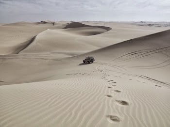Free Photo of desert, sand, footprints